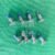 T16/T20/T30 Propeller Clamp Screw (8 Piece)